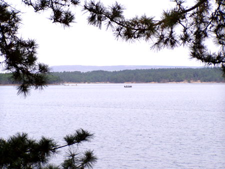 �������ܷ��