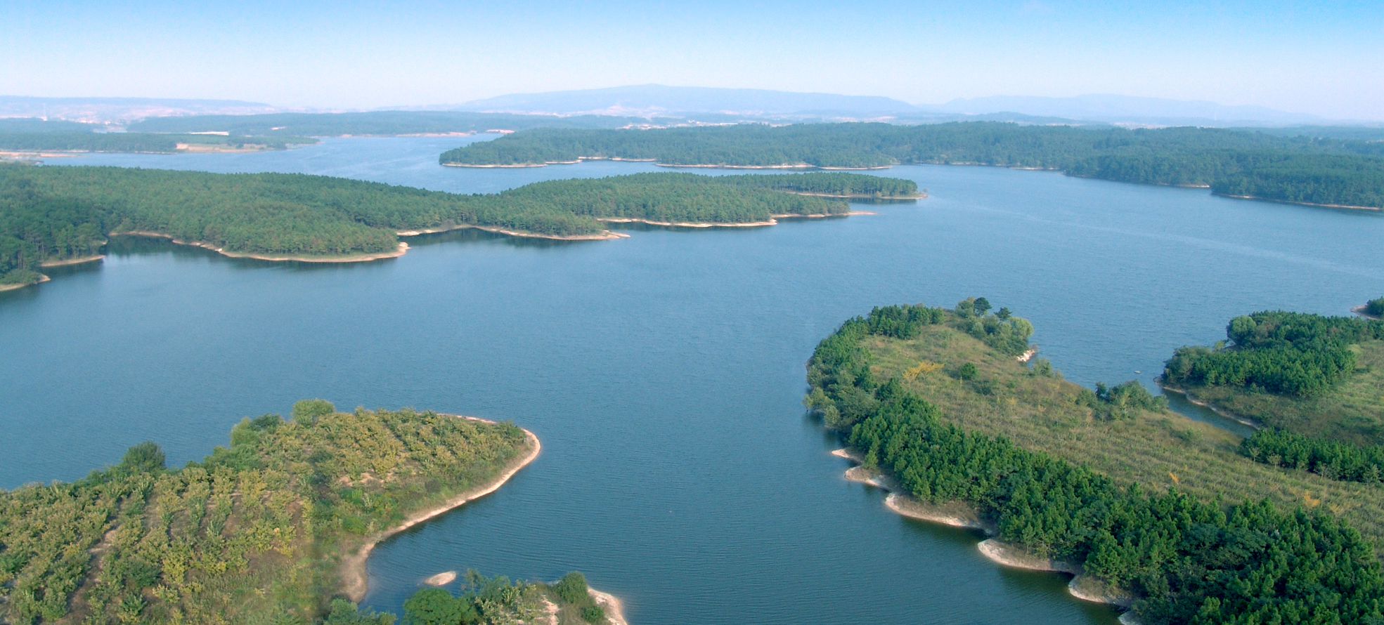 Ծ�������